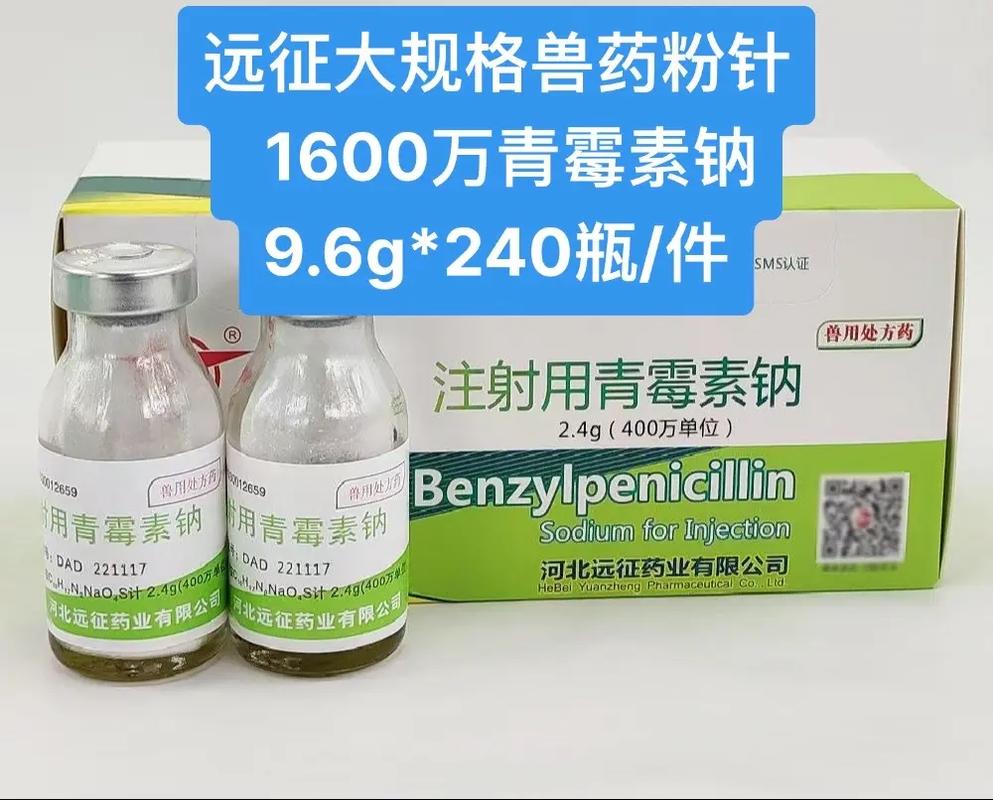 正规国标大规格兽药抗生素——河北远征药业专业解析