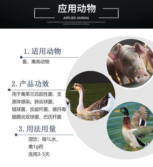 汇邦兽药 GMP工厂与二维码放心产品，为养殖业保驾护航