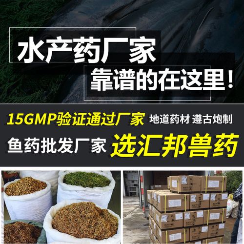 汇邦兽药 水产鱼药批发远销多国，专业兽药厂家助力全球水产养殖